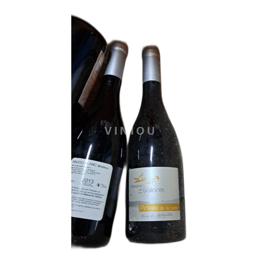 Vale do Loire Anjou Domaine Des Galloires Olive de Belleville 2013