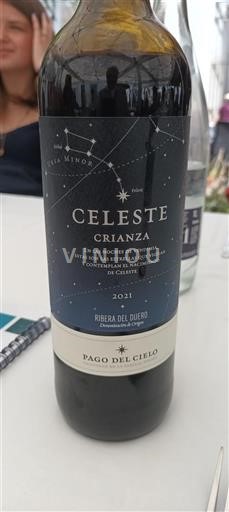 Castilien og León Ribera del Duero Pago Del Cielo Celeste Crianza 2021