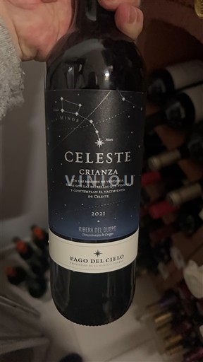 Castilien og León Ribera del Duero Pago Del Cielo Celeste Crianza 2021