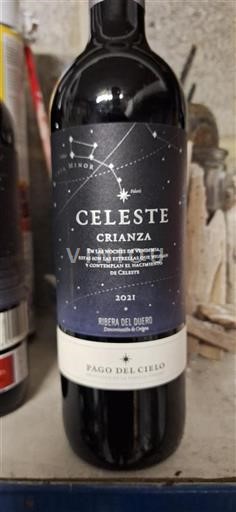 Castilien og León Ribera del Duero Pago Del Cielo Celeste Crianza 2021