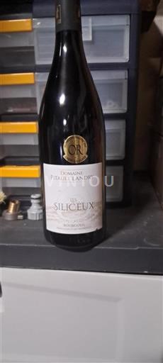 Vin Rouge sec Les Silicieux Domaine Pitault Landry Non millésimé France Vallée de la Loire Bourgueil AOC