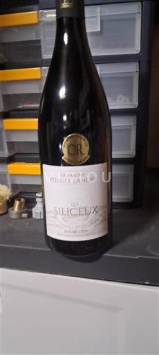 Vallée de la Loire Bourgueil Domaine Pitault Landry Les Silicieux Non Millésimé