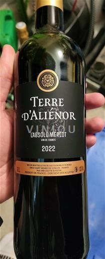 Vin Rouge sec L'Absolu Merlot Terre Aliénor 2022 France Bordeaux AOC