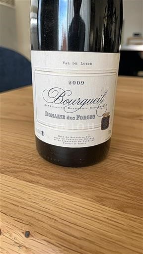 Loiredalen Bourgueil Domaine Des Forges 2009