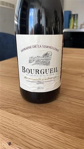 Valle del Loira Bourgueil Domaine La Vernellerie 2014