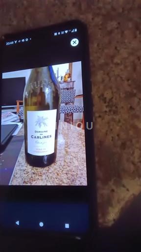 Jura Côtes du Jura Domaine Des Carlines Voile de Chardonnay 2018