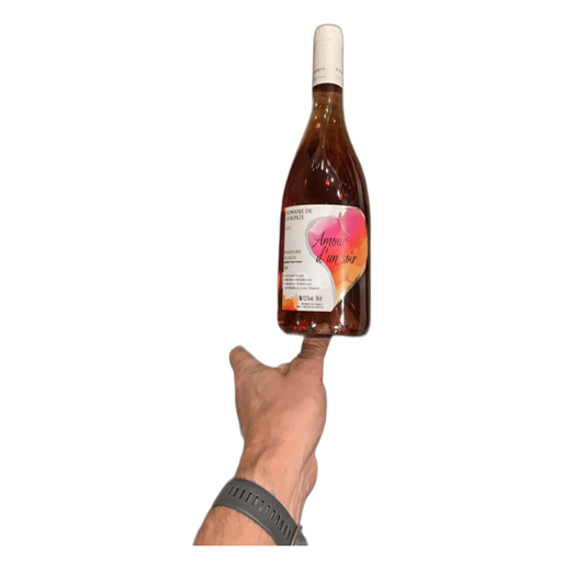 Beaujolais Beaujolais Villages Domaine La Ronze Amour d'un soir 2022