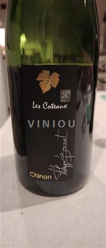 Údolí Loiry Chinon Philippe Brocourt Les Coteaux Neročník