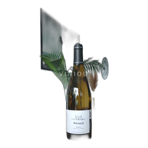 Vale do Loire Anjou Château Princé 2023