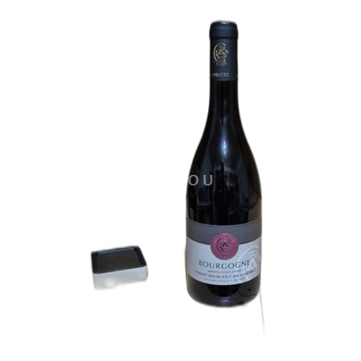 Burgund Mâcon und Mâcon-Dörfer Cave Aze Pinot noir fût de chêne 2022