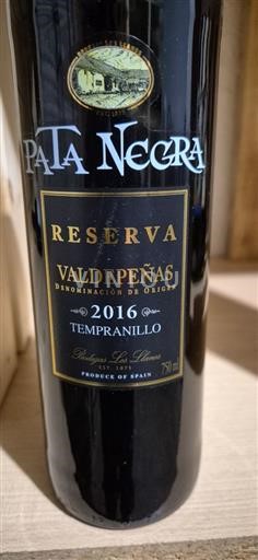 Castilla-La Mancha Valdepeñas Bodegas Los Llanos Reserva 2016
