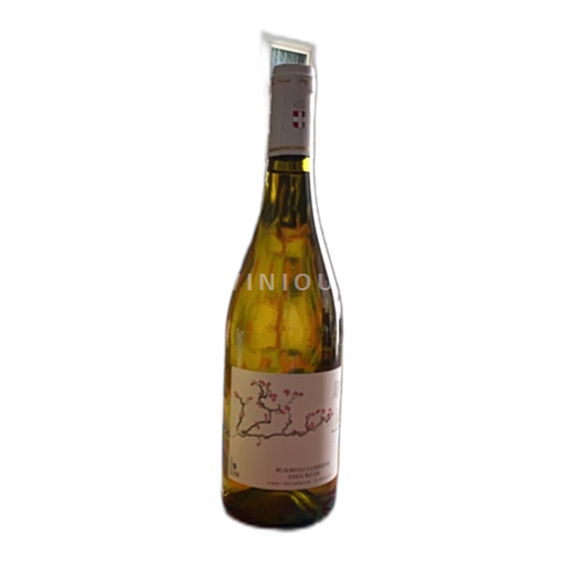 Savoie et Bugey Abymes Domaine Franck Masson Cap à l’Est 2021