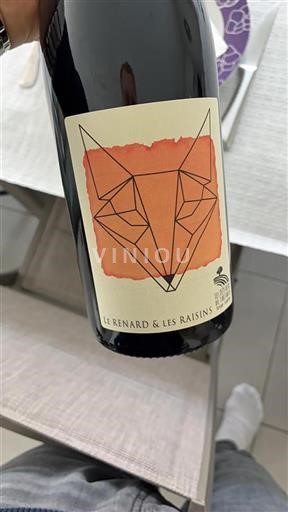 Roussillon Không được chỉ định Les Foulards Rouges Le Renard & Les Raisins Không niên vụ
