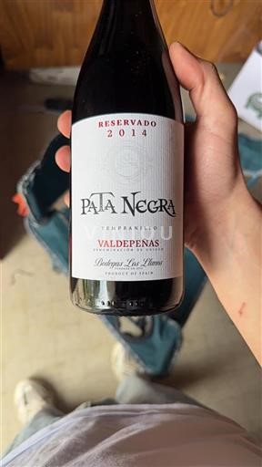 Vin Rouge sec Pata Negra Bodegas Los Llanos 2014 Espagne Castille-La Manche Valdepenas DO