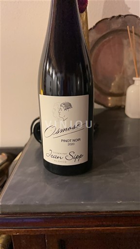 Vin Rouge sec Osmose Jean Sipp 2020 France Alsace Vin de France