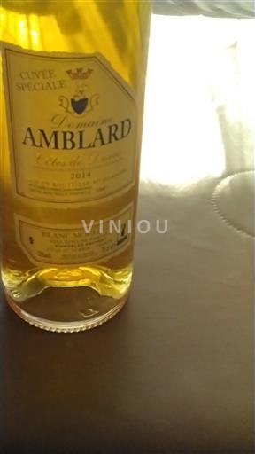Sudoeste Côtes-de-duras Domaine Amblard Spéciale 2014