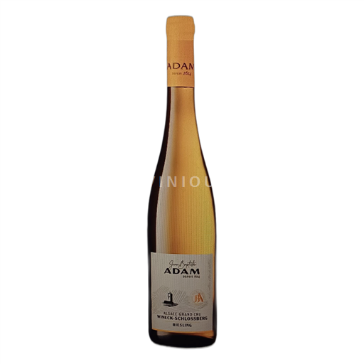 Alsace Alsace Grand Cru Jean Baptiste Adam Wineck-Schlossberg 2019