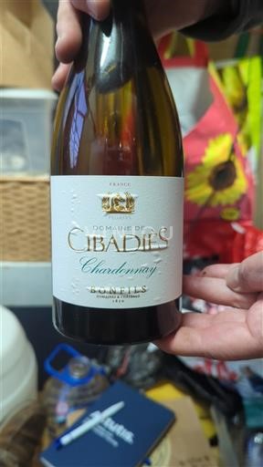 Languedoc-Roussillon Pays d'Oc Domaine Cibadiès Chardonnay Non-Vintage