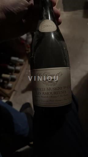 Burgundy Chambolle-Musigny Premier Cru Domaine La Pousse Or Les Amoureuses 2009