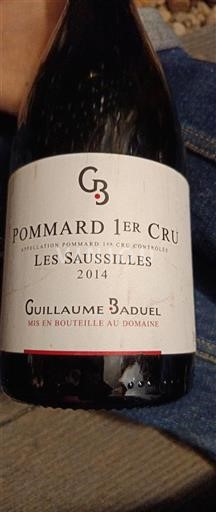 Borgoña No especificado Premier Cru Domaine Guillaume Baduel Les Saussilles 2014