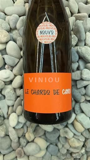 Bourgondië Bourgondische heuvels Domaine Trouillet Le chardo de Caro 2023