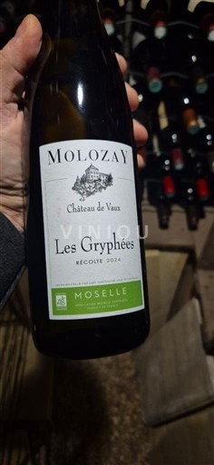 Lorraine Moselle Château Vaux Les Gryphées 2022