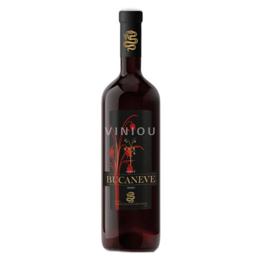 Ticino Merlot del Ticino Cantina Giubiasco 2022