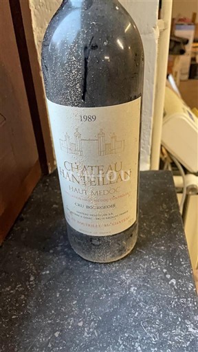 Бордо Го-Медок Cru Bourgeois Château Hanteillan 1989