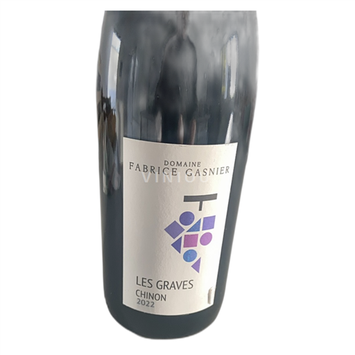 Valle della Loira Chinon Domaine Fabrice Gasnier Les Graves 2022