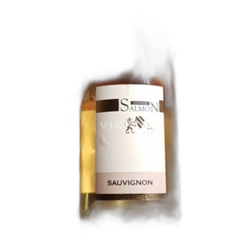 Dolina Loare Domaine Salmon Sauvignon 2018