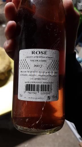 Dolina Loare Domaine Salmon 2017