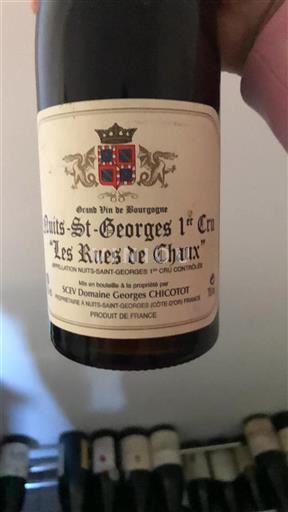 Burgundija Ni doloceno Premier Cru Domaine Georges Chicotot Les Rues de Chaux Neleten.