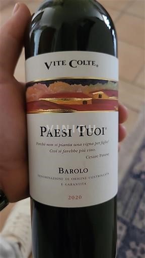 Piemont Barolo Vite Colte Paesi Tuoi 2020