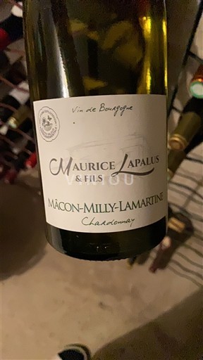 Bourgogne Mâcon và Mâcon-villages Maurice Lapalus & Fils 2022