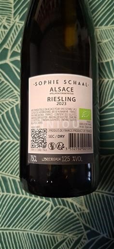 Alsacia Sophie Schaal 2023