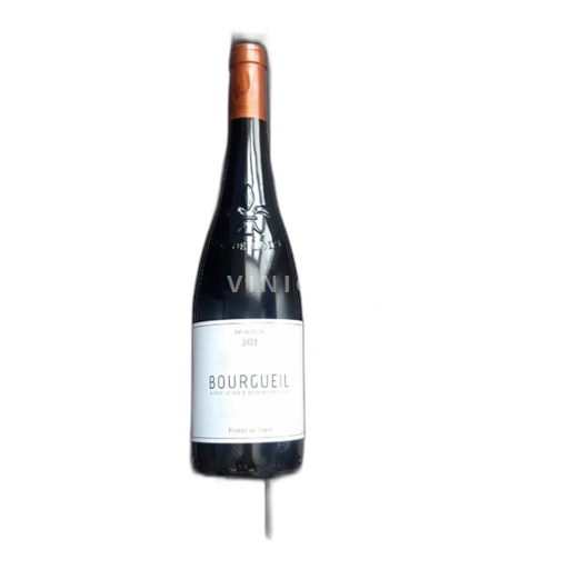 Loiredalen Bourgueil Les Celliers Du Prieuré St -hilaire-st-florent 2023