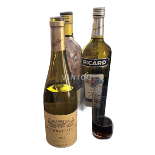Burgundy Bourgogne Aligoté Pierre Chanau 2023 2023