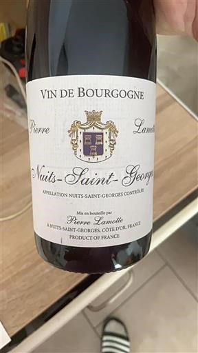 Burgundsko Nuits-saint-georges Pierre Lamotte Neročník