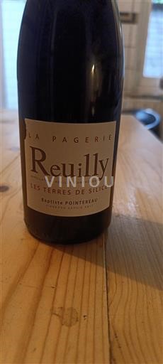 Loire Valley Reuilly Domaine La Pagerie Les Terres de Silice Non-Vintage
