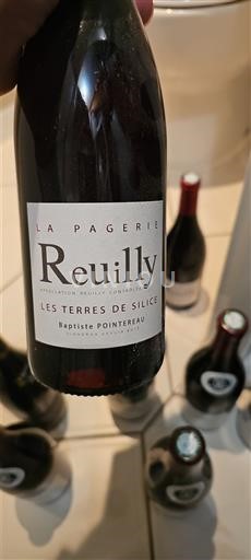 Loire-dalen Reuilly Domaine La Pagerie Les Terres de Silice Ikke årgangsbestemt
