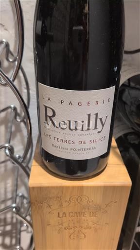 Thung lũng sông Loire Reuilly Domaine La Pagerie Les Terres de Silice Không niên vụ