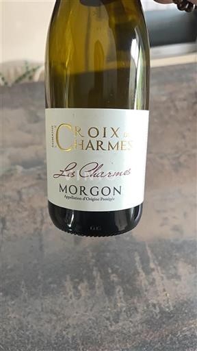 Vin Rouge sec Les Charmes Domaine La Croix des Charmes 2017 France Beaujolais Morgon AOC