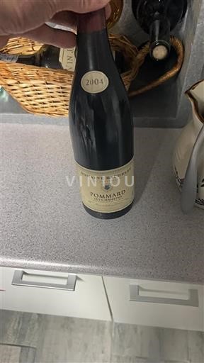 Burgundi Pommard Domaine Bachelet Les Chanlins 2004