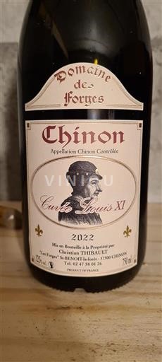 Valle del Loira Chinon Domaine Des Forges Louis XI 2022