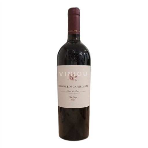 Castilien og León Ribera del Duero Pago De Los Capellanes Tinto Crianza 2022