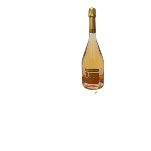 Champagne Not Specified Jeannoël Haton Blanc de Blancs Non-Vintage