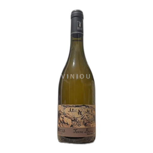 Languedoc in Roussillon Katalonske obale Domaine L'arca Terri Buxa 2020
