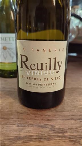 Loire Valley Reuilly Domaine La Pagerie Les Terres de Silice Non-Vintage