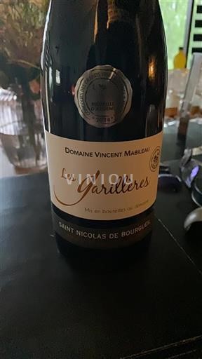 Dolina Loare Saint-Nicolas-De-Bourgueil Domaine Vincent Mabileau Les Garillières 2023