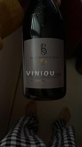 Loire Valley Saumur-Champigny Domaine Des Hauts De Sanzay 2015